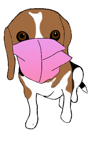 Animales Beagle Sticker