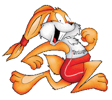 Running Sticker by StraLugano