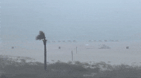 Visibility Drops as Storms Hit Florida Panhandle