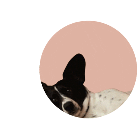 Sammie Sticker by Mainely Dogs