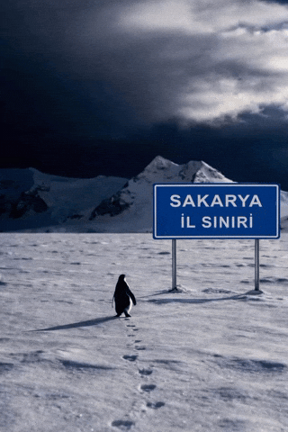 Ada Sakarya GIF