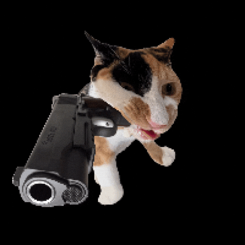 Cat Pew GIF