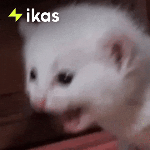 Angry Fed Up GIF by ikas