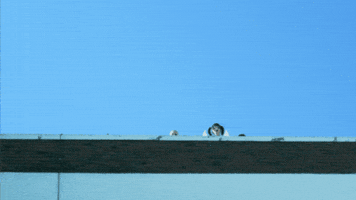 Eye Angel GIF by ARTMS