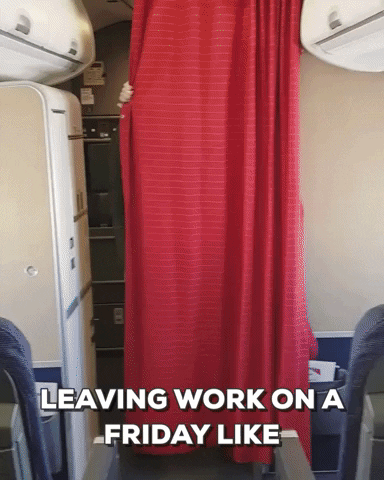 Video gif. Man with very tall hairsprayed hair revealed himself behind a curtain on an airplane. He starts dancing down the tight airplane aisle as people seated look at him or shift in their seat uncomfortably.