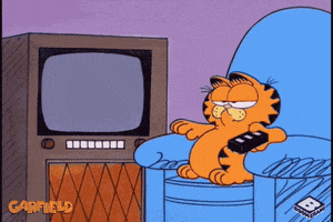 Tv GIF