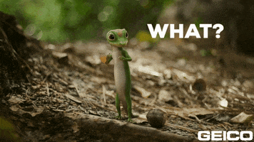 Confusion What GIF by GEICO