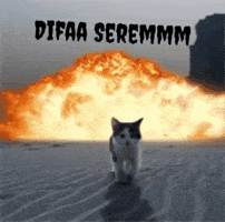 Difaserem GIF