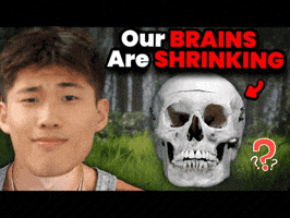Jleeyo GIF