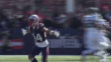 Look At That Lets Go GIF by New England Patriots