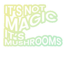 VeraVida Naturals Sticker