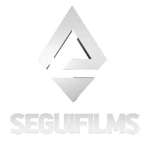 Seguifilms Sticker by Gerencia 360