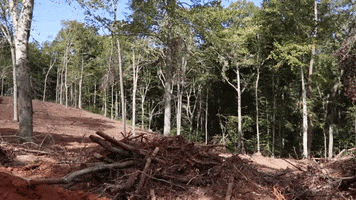 Land Clearing GIF by JC Property Professionals
