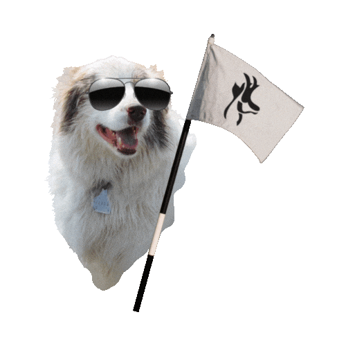 Goose Sticker by CCC Golf