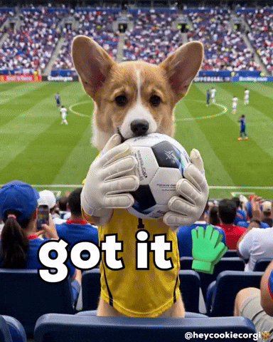 Football Save GIF