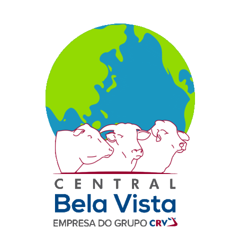 Central Bela Vista Sticker