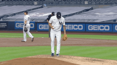 High Five Ny Yankees GIF by Jomboy Media - Find & Share on GIPHY
