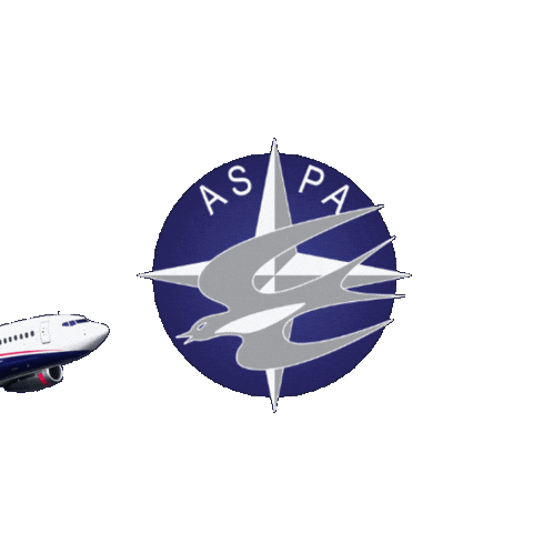 Aviacion Sticker by ASPA DE MÉXICO