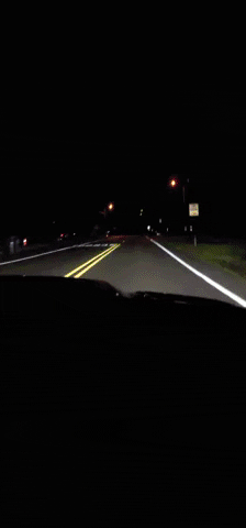 Car Driving GIF by No Cheese Records