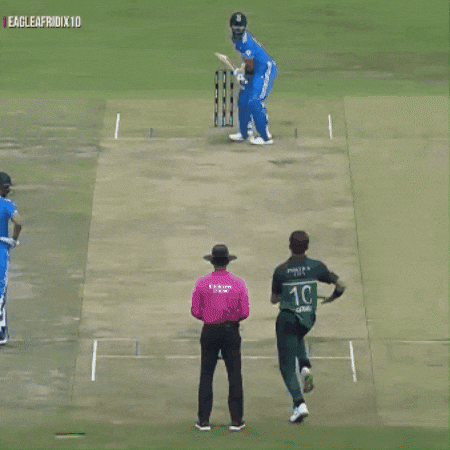 India Heat GIF