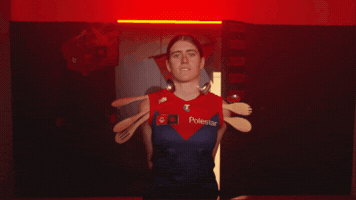 Melbourne Demons Afl GIF by Melbournefc