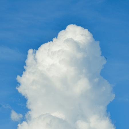 Ian Schenkel Of Newport Beach GIF