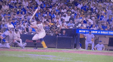 Baseball GIF