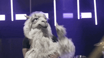 fight llama GIF by Fall Out Boy