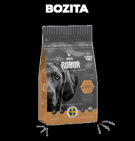 Cat Love GIF by BOZITA