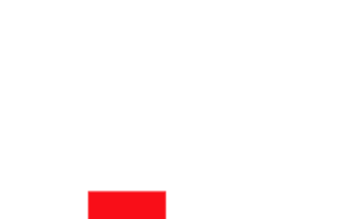 Festival Culture Sticker