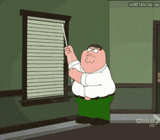 blinds GIF