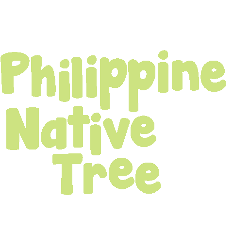 Tree Forest Sticker
