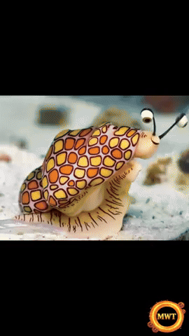 My Wrong Timeline GIF