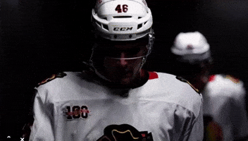 Nhl Blackhawks GIF