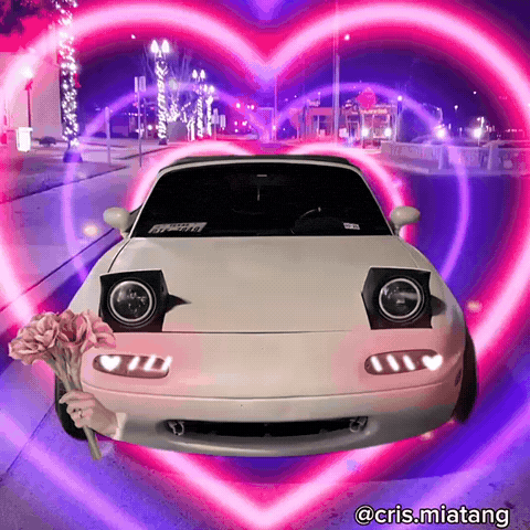 Car Love GIF