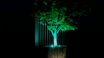 Handigelamp GIF
