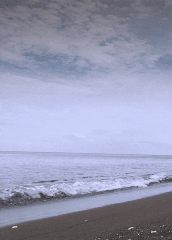 Pantai GIF by Head Like an Orange - Find & Share on GIPHY