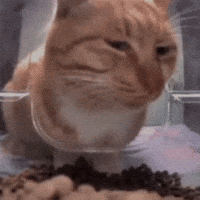 Backend Development
