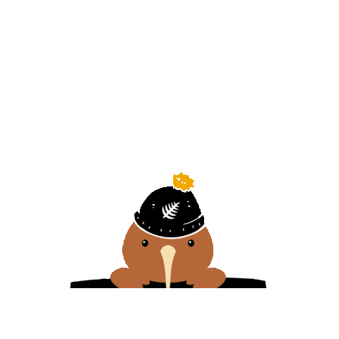 Paralympics New Zealand Sticker