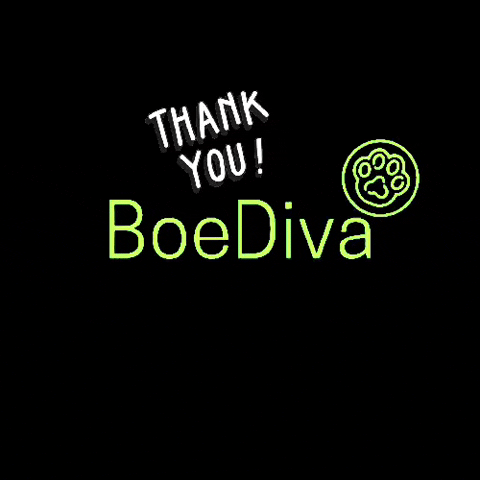 BoeDiva thanks thankyou dogbrand boediva GIF