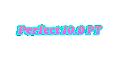 Perfect 10.0 Physical Therapy Sticker