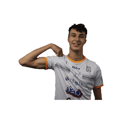 Sticker by Fenice Pallavolo Roma