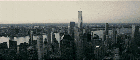 College Running GIF by Pace University