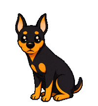Miniature Pinscher Dog Sticker by zidama