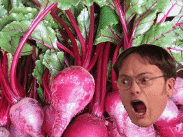 the office beets GIF