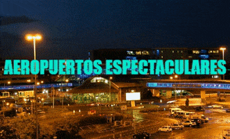 Travel Vacaciones GIF