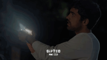 the gifted fox GIF