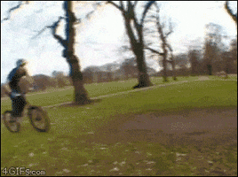 trick tree bike flip like a boss