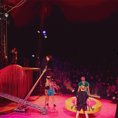 Catch Teeterboard GIF by Circus I love you