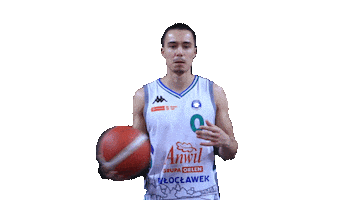 Anwil Wloclawek Sticker